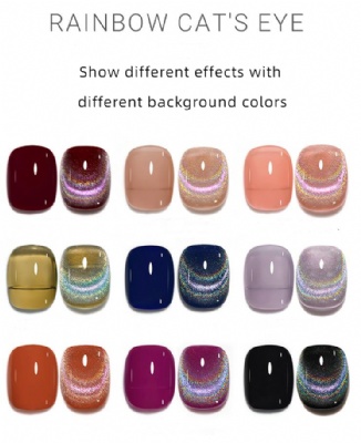 Rainbow Cat Eye Gel nail