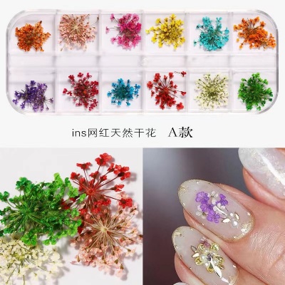nail dry flower nail gel polish