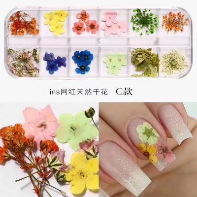 nail dry flower nail gel polish