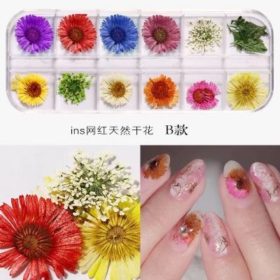 nail dry flower nail gel polish