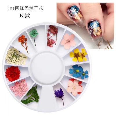 nail dry flower nail gel polish