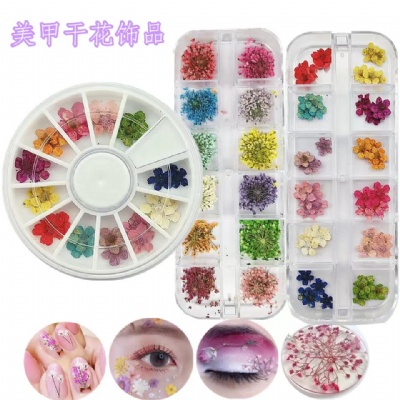 nail dry flower nail gel polish